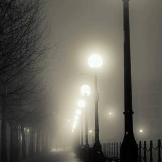 Street lamp fog wallpaper