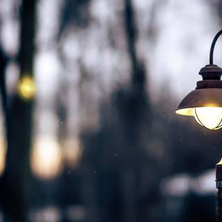 Street lamp fog wallpaper