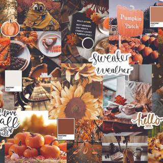 Fall desktop collage wallpaper