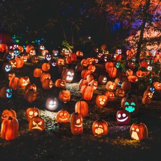 Pumpkin Farm Festival wallpaper