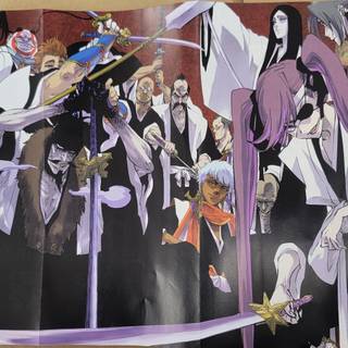 Bleach Gotei 13 wallpaper