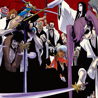 Bleach Gotei 13 wallpaper