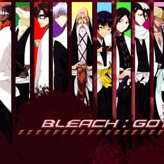 Bleach Gotei 13 wallpaper
