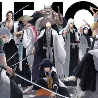 Bleach Gotei 13 wallpaper