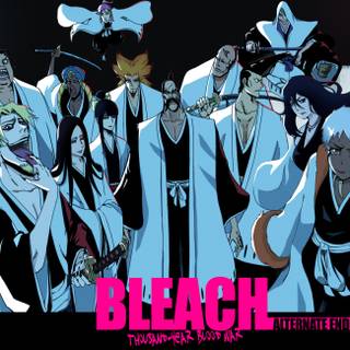 Bleach Gotei 13 wallpaper