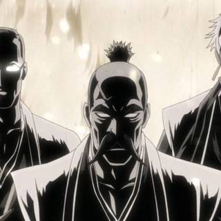 Bleach Gotei 13 wallpaper