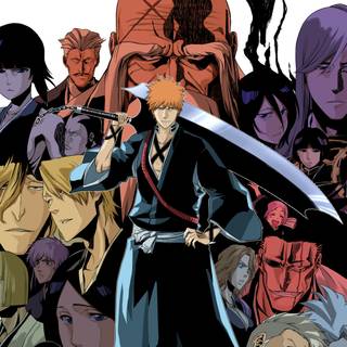 Bleach Gotei 13 wallpaper