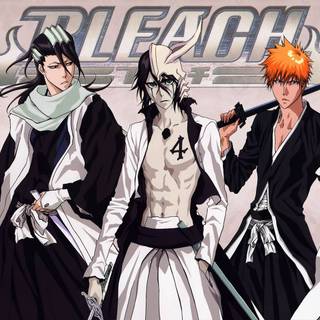 Bleach Gotei 13 wallpaper