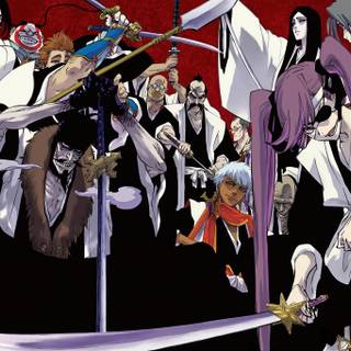 Bleach Gotei 13 wallpaper