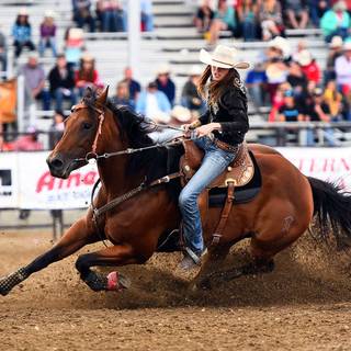 Barrel racers wallpaper