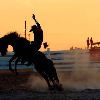 Barrel racers wallpaper