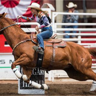 Barrel racers wallpaper