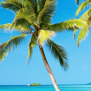 Beach 4k phone wallpaper