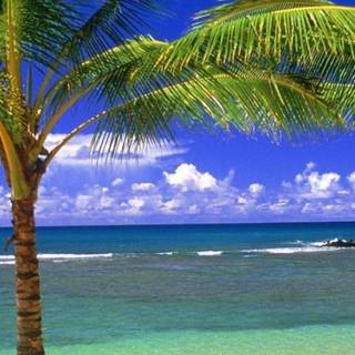 Beach 4k phone wallpaper