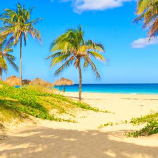 Beach 4k phone wallpaper