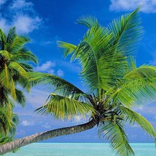 Beach 4k phone wallpaper