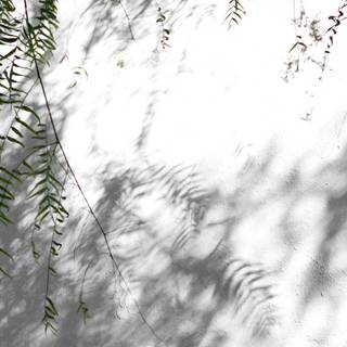 4k white mobile wallpaper