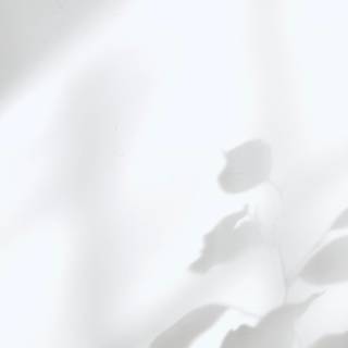 4k white mobile wallpaper