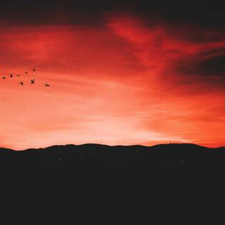 Red sky 4k wallpaper