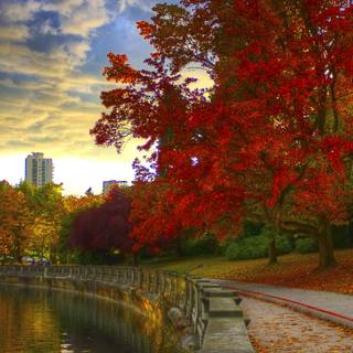 Vancouver autumn wallpaper