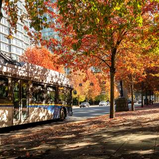 Vancouver autumn wallpaper