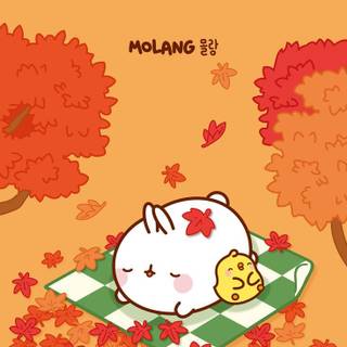Autumn Molang wallpaper
