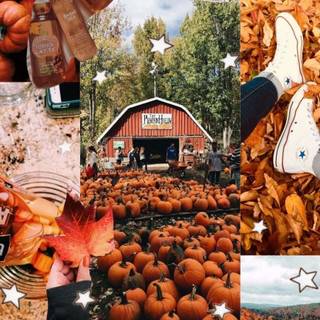 Autumn collage iPhone wallpaper