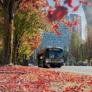 Vancouver autumn wallpaper