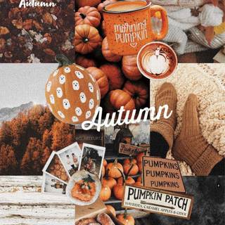 Autumn collage iPhone wallpaper