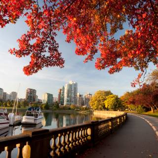 Vancouver autumn wallpaper