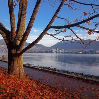 Vancouver autumn wallpaper