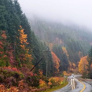 Vancouver autumn wallpaper