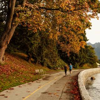 Vancouver autumn wallpaper