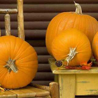 Vancouver autumn wallpaper