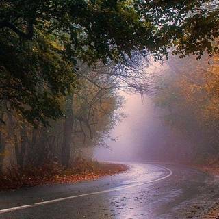 Rainy autumn day wallpaper