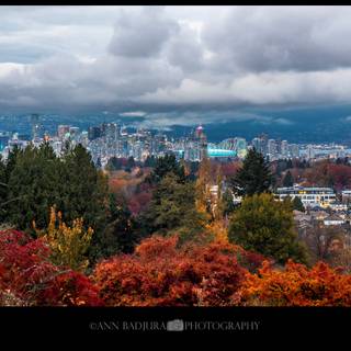 Vancouver autumn wallpaper