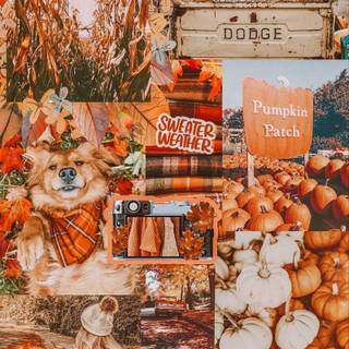 Autumn Halloween collage wallpaper