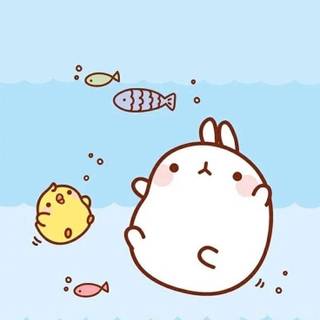 Molang phone wallpaper