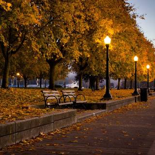 Vancouver autumn wallpaper