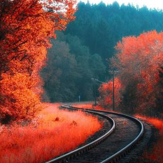 Vancouver autumn wallpaper