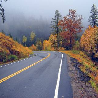 Rainy autumn day wallpaper