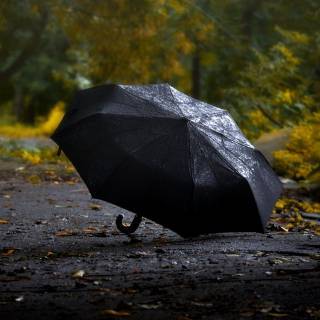 Rainy autumn day wallpaper