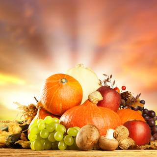 Cartoon autumn fruit wallpaper