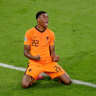 Denzel Dumfries wallpaper