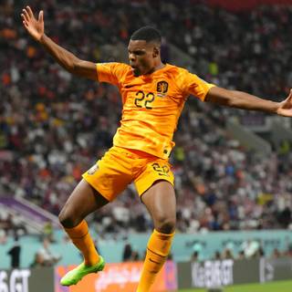 Denzel Dumfries wallpaper