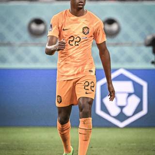 Denzel Dumfries wallpaper