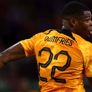 Denzel Dumfries wallpaper