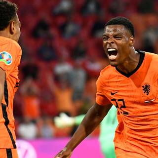 Denzel Dumfries wallpaper