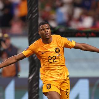 Denzel Dumfries wallpaper