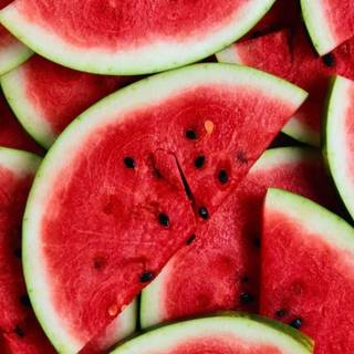 Watermelon fruit wallpaper
